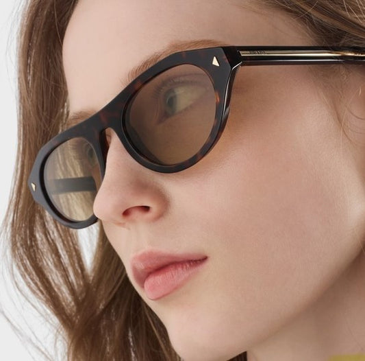 PR B15S Root Tortoise