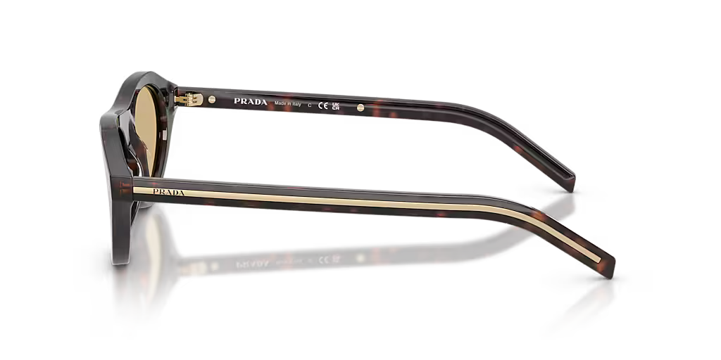 PR B15S Root Tortoise