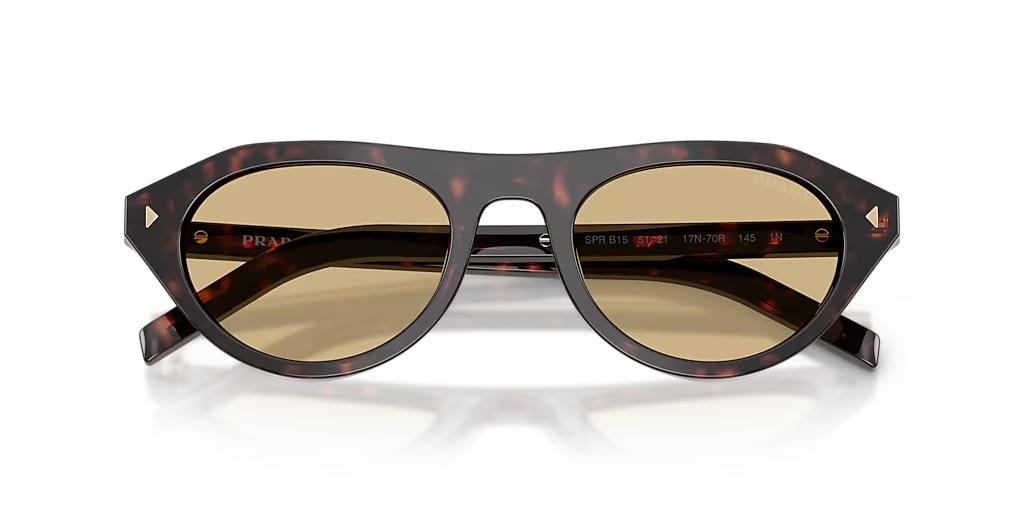 PR B15S Root Tortoise