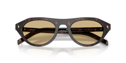 PR B15S Root Tortoise