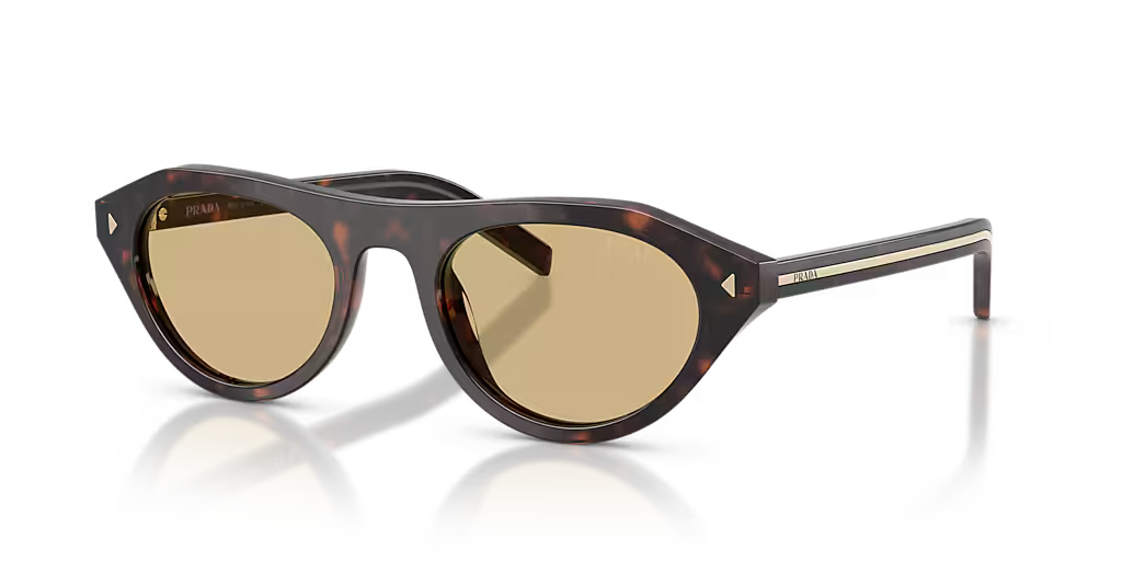 PR B15S Root Tortoise
