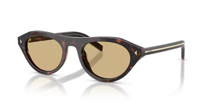 PR B15S Root Tortoise