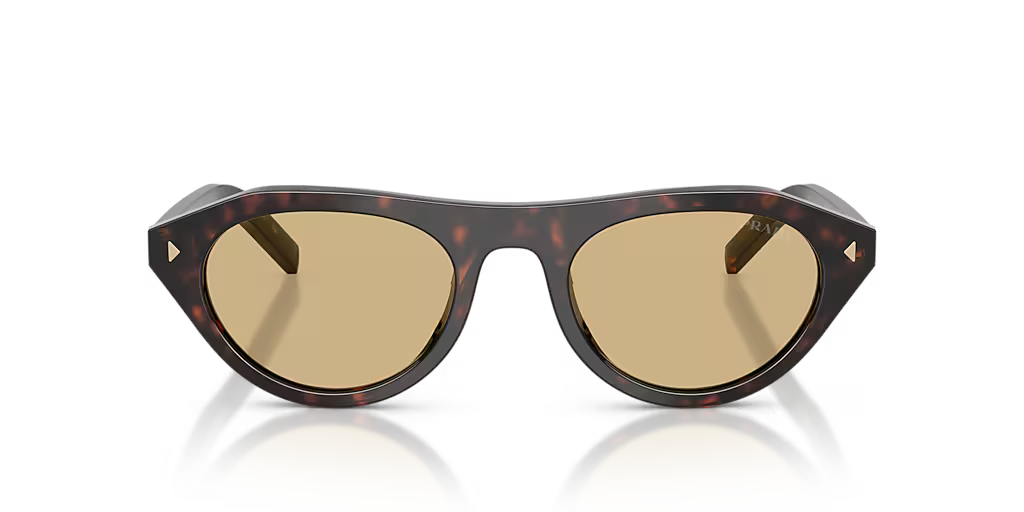 PR B15S Root Tortoise