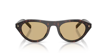 PR B15S Root Tortoise