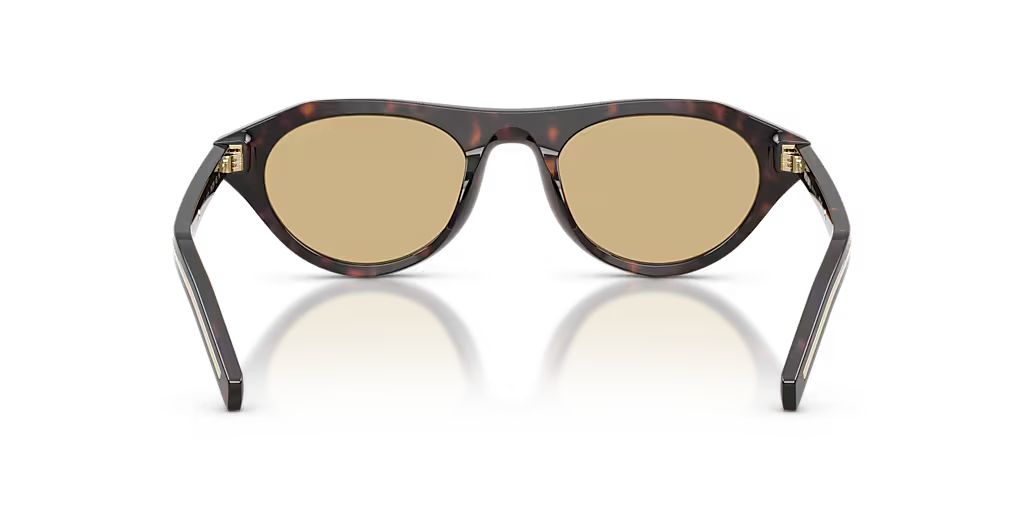 PR B15S Root Tortoise