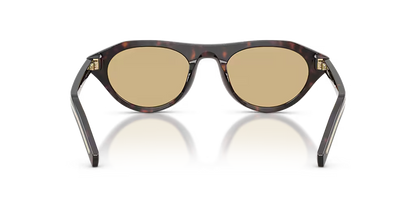 PR B15S Root Tortoise